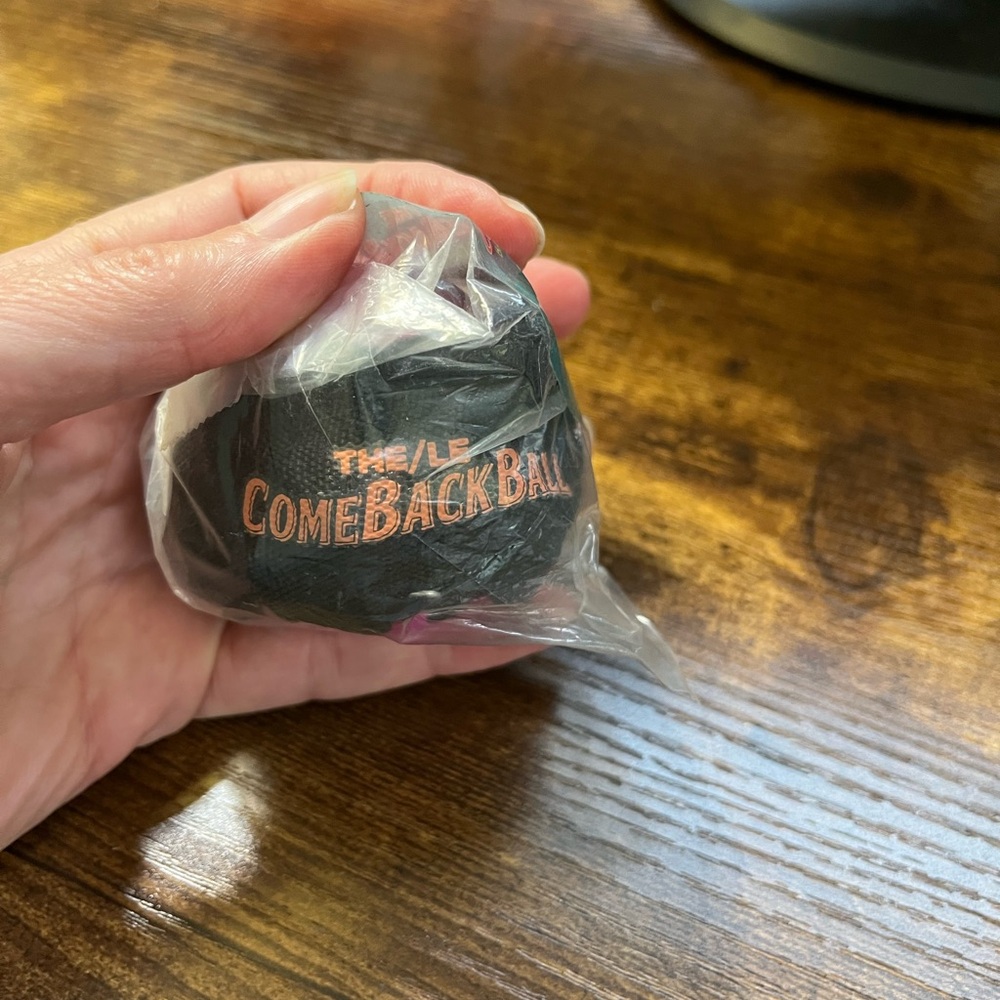 🎁Free with Purchase!🎁 NWOT Comeback Ball Toy
